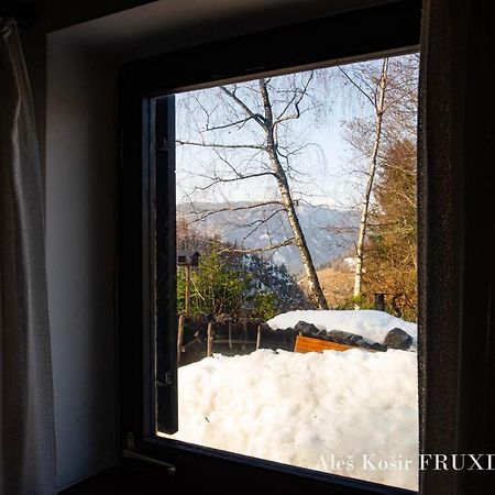 耶塞尼采Pet & Family Friendly House Viktorija - House Near Golica With Triglav View别墅 外观 照片