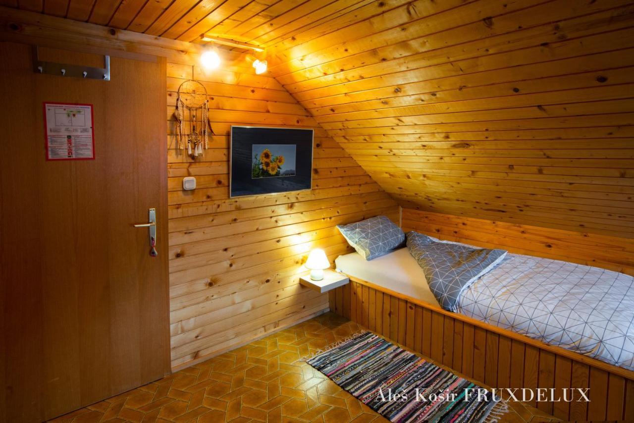 耶塞尼采Pet & Family Friendly House Viktorija - House Near Golica With Triglav View别墅 外观 照片