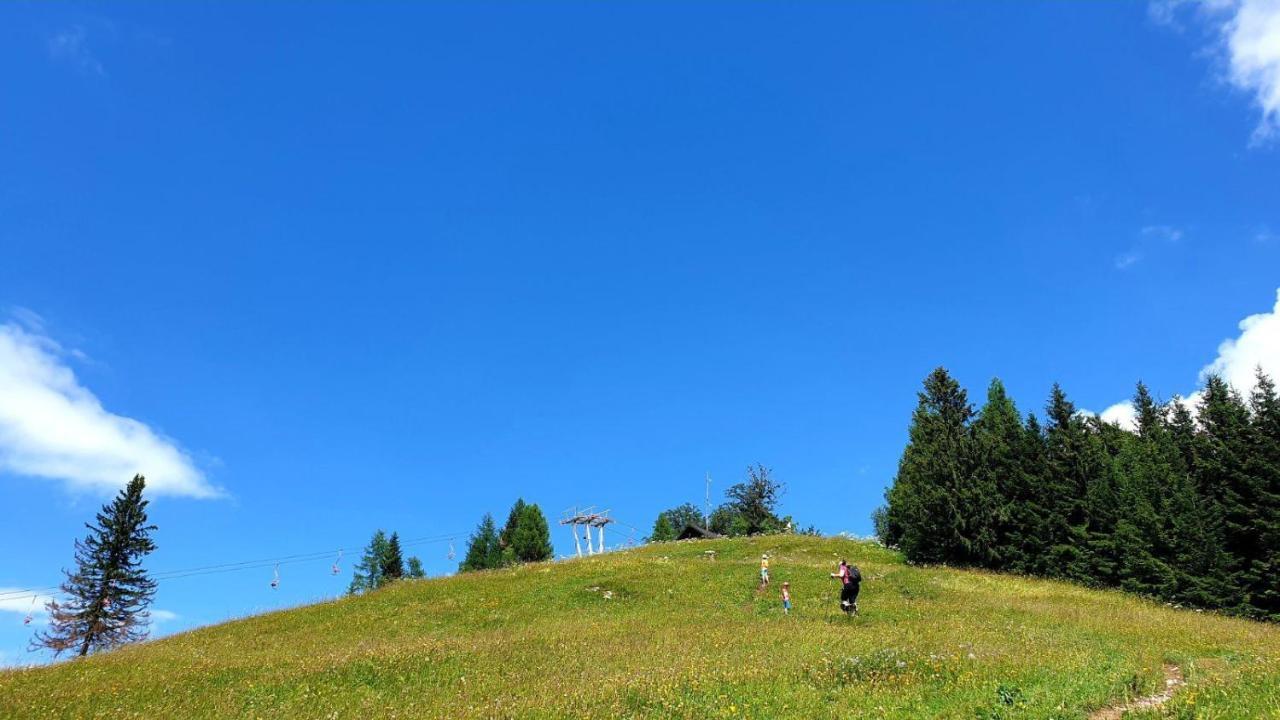 耶塞尼采Pet & Family Friendly House Viktorija - House Near Golica With Triglav View别墅 外观 照片