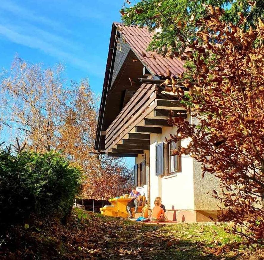 耶塞尼采Pet & Family Friendly House Viktorija - House Near Golica With Triglav View别墅 外观 照片