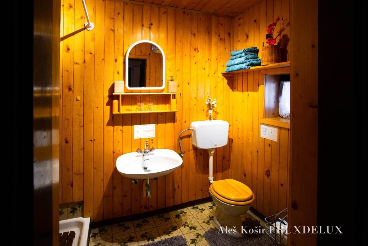 耶塞尼采Pet & Family Friendly House Viktorija - House Near Golica With Triglav View别墅 外观 照片