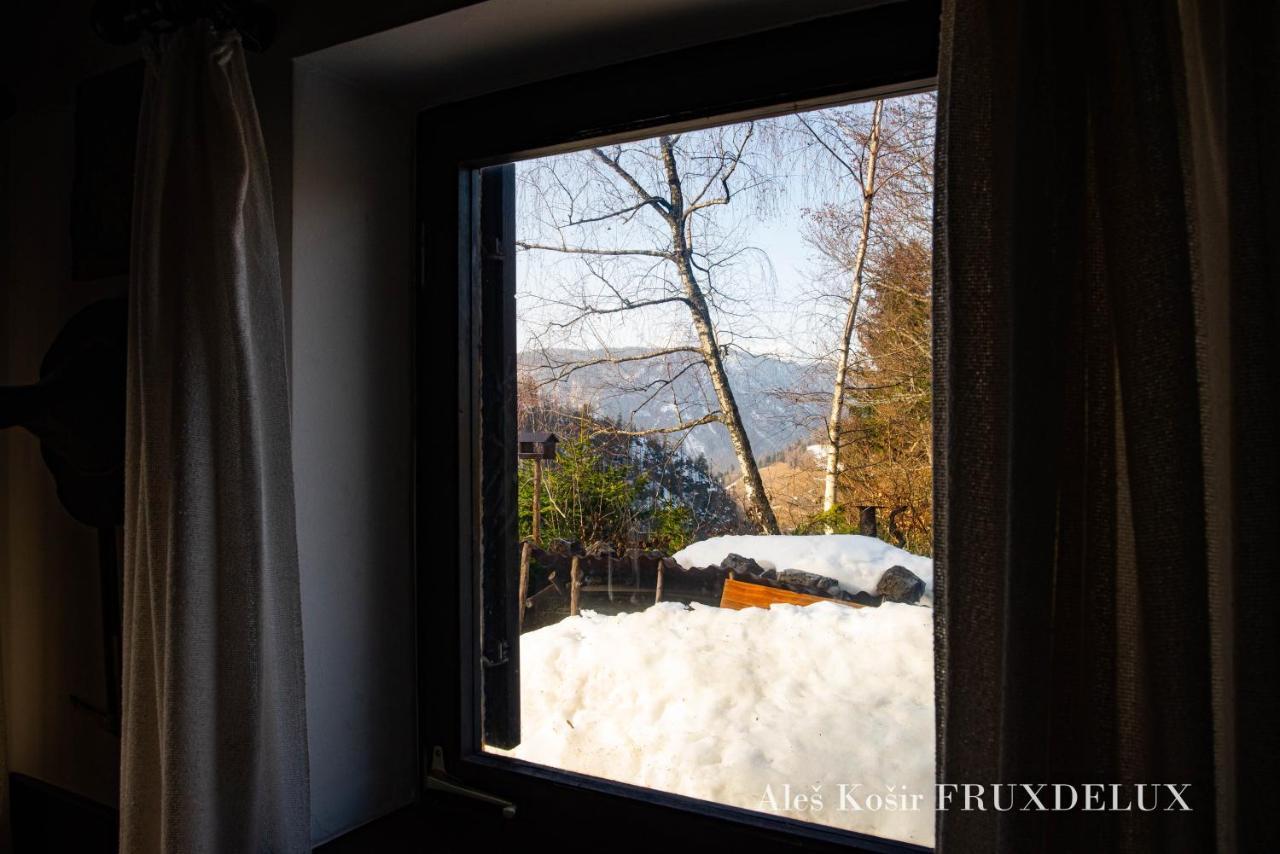 耶塞尼采Pet & Family Friendly House Viktorija - House Near Golica With Triglav View别墅 外观 照片