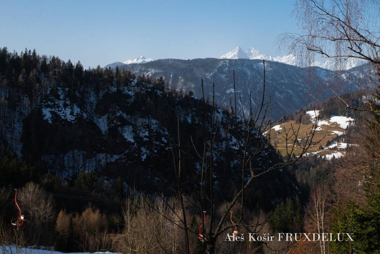 耶塞尼采Pet & Family Friendly House Viktorija - House Near Golica With Triglav View别墅 外观 照片