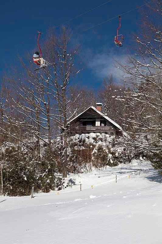 耶塞尼采Pet & Family Friendly House Viktorija - House Near Golica With Triglav View别墅 外观 照片