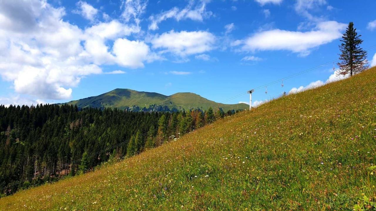 耶塞尼采Pet & Family Friendly House Viktorija - House Near Golica With Triglav View别墅 外观 照片