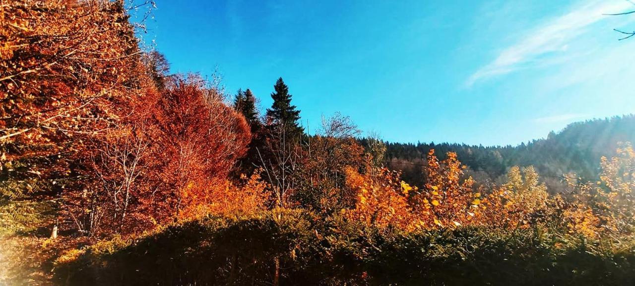耶塞尼采Pet & Family Friendly House Viktorija - House Near Golica With Triglav View别墅 外观 照片