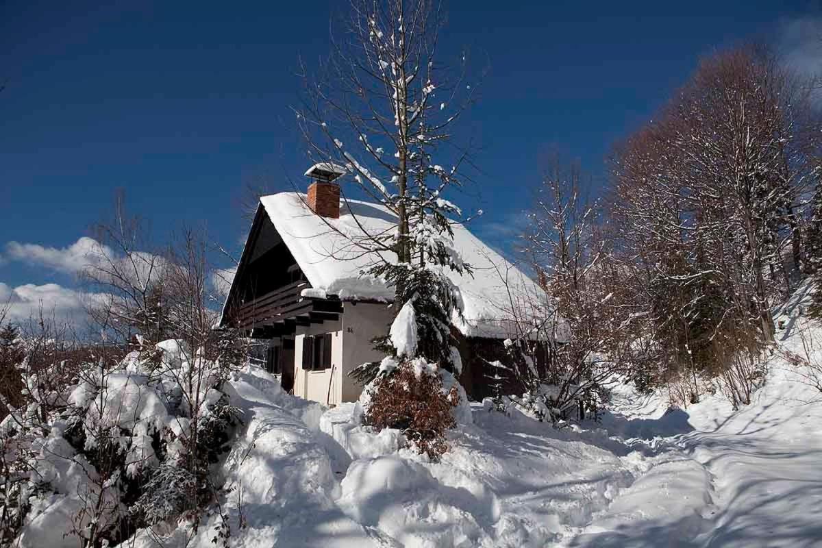耶塞尼采Pet & Family Friendly House Viktorija - House Near Golica With Triglav View别墅 外观 照片