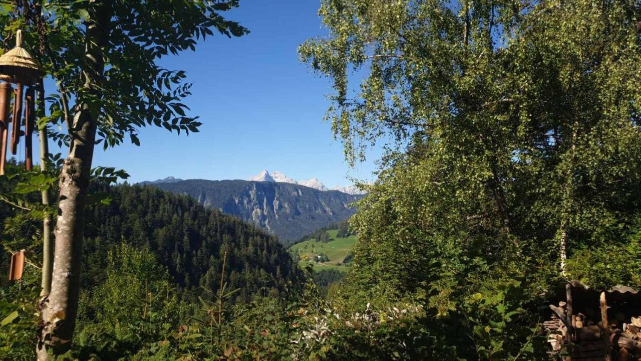 耶塞尼采Pet & Family Friendly House Viktorija - House Near Golica With Triglav View别墅 外观 照片